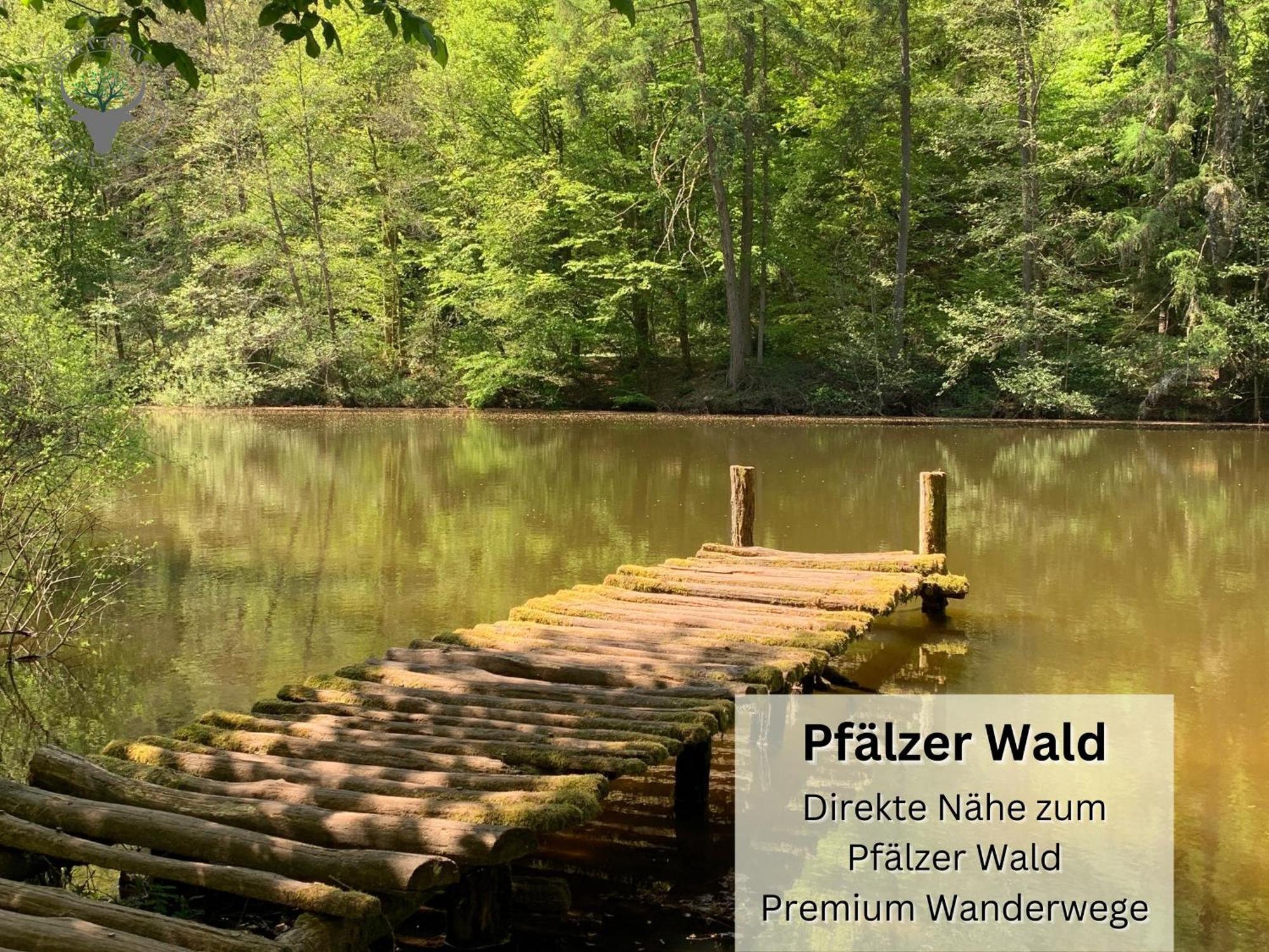 Apartmán Stierpartment Am Pfaelzer Wald Naehe Outlet Center Zweibruecken Pirmasens Exteriér fotografie